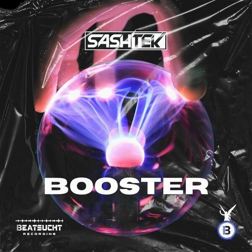Sashtek-Booster (Extended Mix)