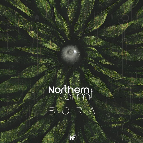 Northern Form-Bora