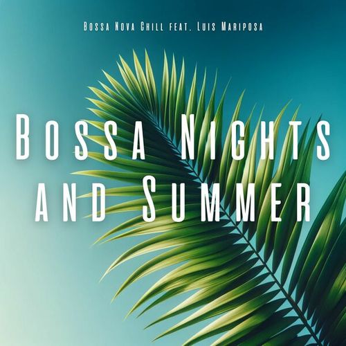 Bossa Nights and Summer