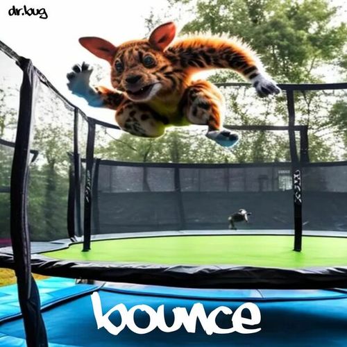 Dr.Bug-Bounce