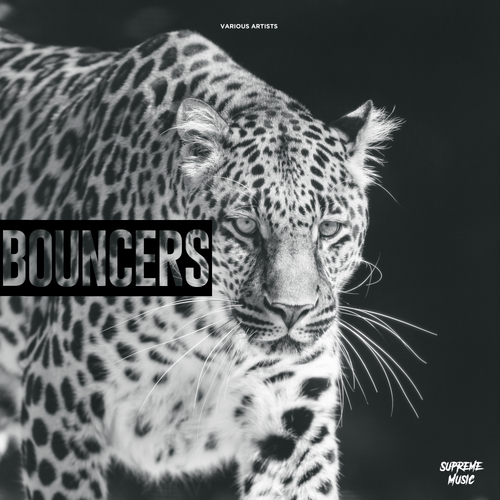 Various Artists-Bouncers