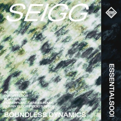 Seigg, Rødig, Genex-Boundless Dynamics