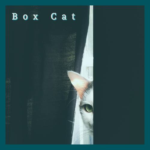 Deeplastik-Box cat