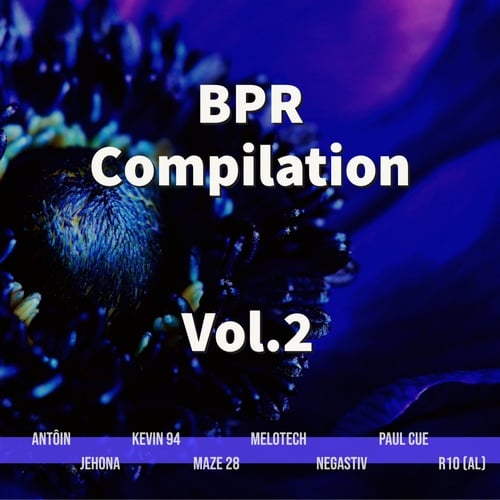 Various Artists-BPR Compilation, Vol. 2
