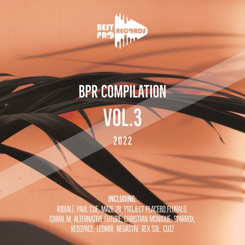 Various Artists-BPR Compilation, Vol. 3