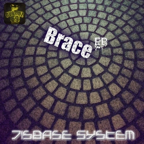 Disbase System-Brace