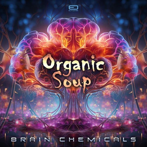 Organic Soup-Brain Chemicals