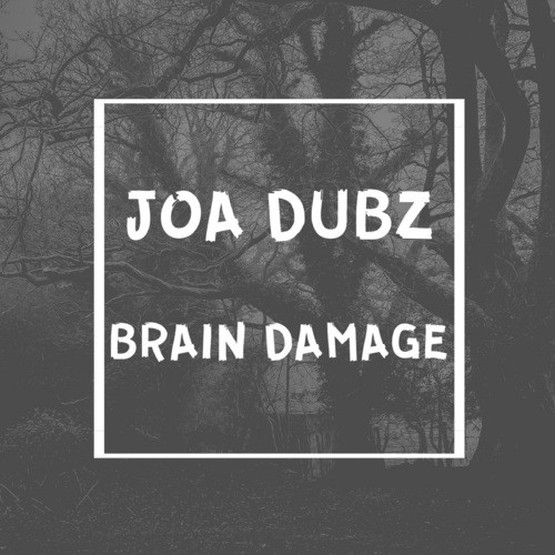 JOA DUBZ-Brain Damage