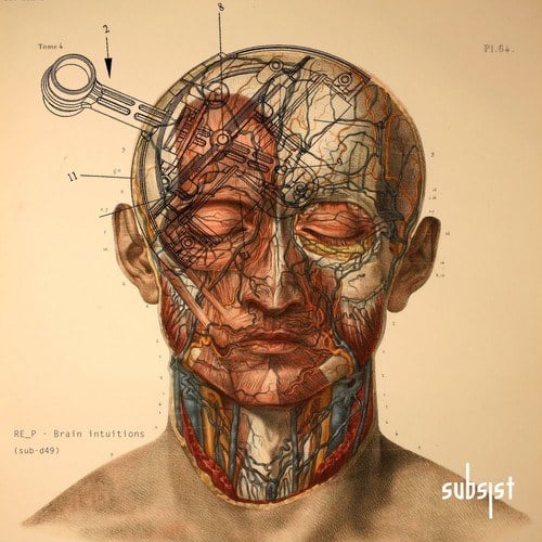 RE_P-Brain Intuitions