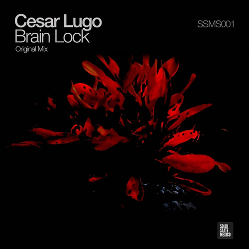 Cesar Lugo-Brain Lock