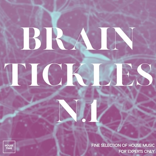 Various Artists-Brain Tickles N. 1 (Fine Selection of House Music for Experts Only)