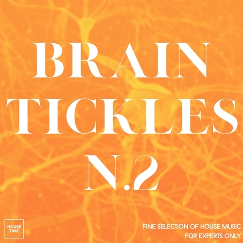 Various Artists-Brain Tickles N. 2 (Fine Selection of House Music for Experts Only)