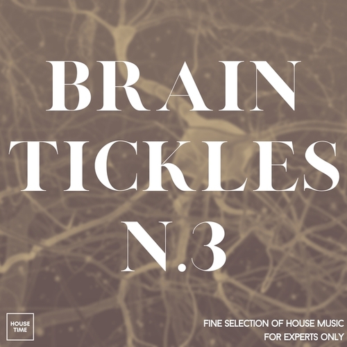 Various Artists-Brain Tickles N. 3 (Fine Selection of House Music for Experts Only)