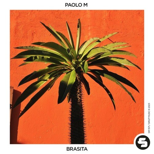 Paolo M-Brasita