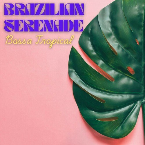 Brazilian Serenade