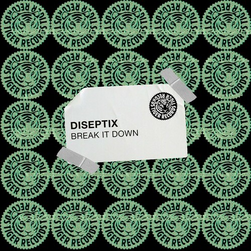Diseptix-Break It Down