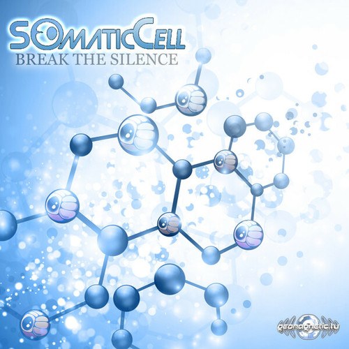 Somatic Cell-Break the Silence