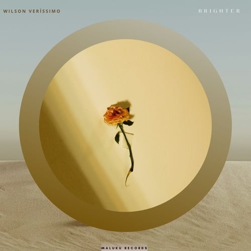 Wilson Veríssimo-Brighter