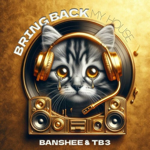 Banshee & TB3, Jose Antonio Badea, TBBB-Bring Back my House