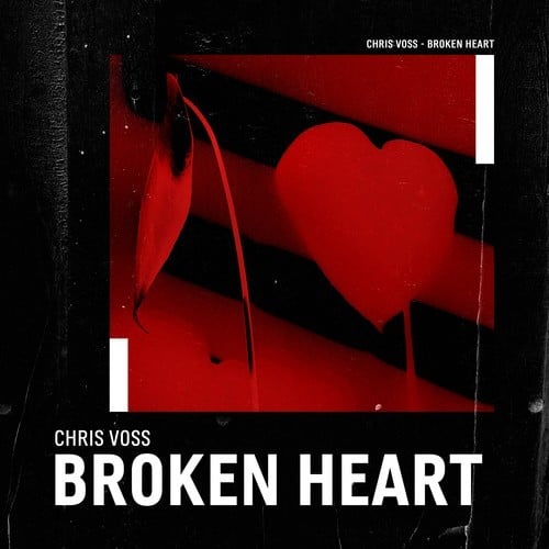 Chris Voss-Broken Heart