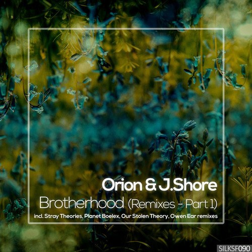 Orion, J.Shore, Planet Boelex, Our Stolen Theory, Owen Ear, Stray Theories-Brotherhood