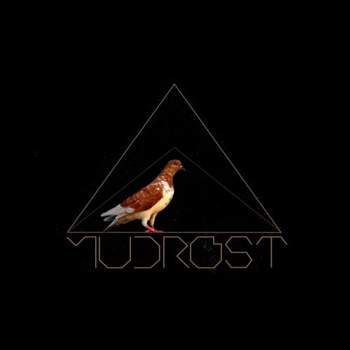 Mudrost-Brown Feathered Bird