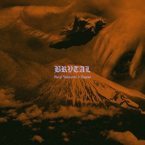 BRV003