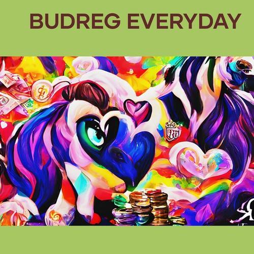 Budreg Everyday