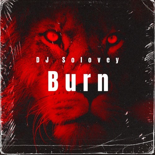 DJ Solovey-Burn