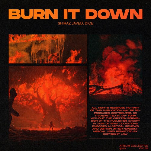 Shiraz Javed, D!CE-Burn It Down