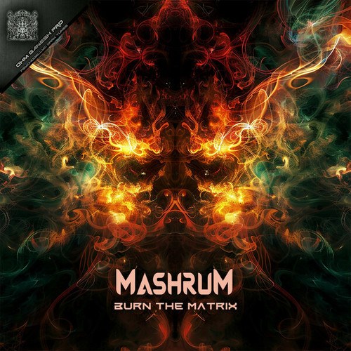 Mashrum-Burn The Matrix