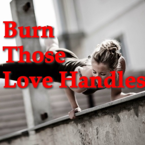 Various Artists-Burn Those Love Handles