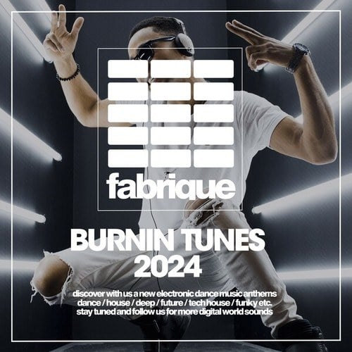 Various Artists-Burnin Tunes 2024