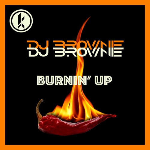 DJ Brownie-Burnin UP