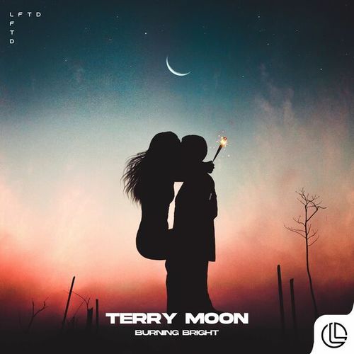 Terry Moon-Burning Bright
