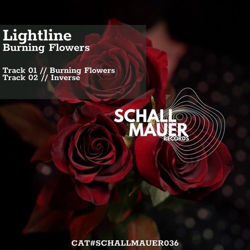 Lightline-Burning Flowers