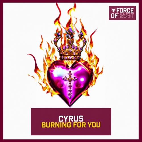 Cyrus-Burning for You