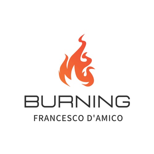 Francesco D'Amico-Burning