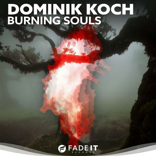 Dominik Koch-Burning Souls