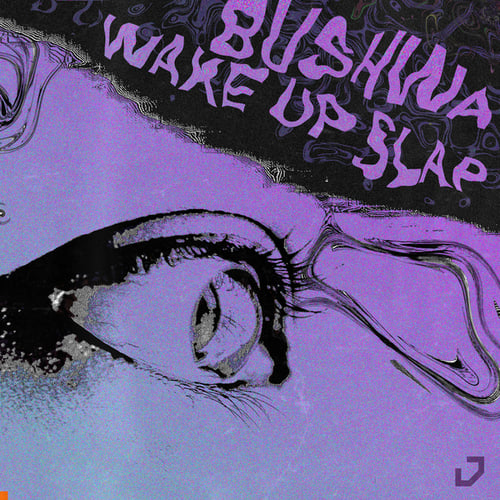 Latesleeper, Gyrofield-Bushwa / Wake Up Slap