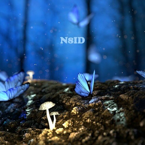 N8id-Butterflies