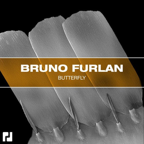 Bruno Furlan-Butterfly