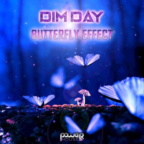 Dim Day-Butterfly Effect