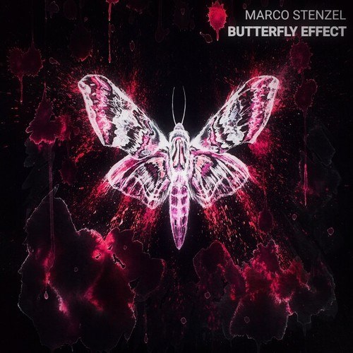 Marco Stenzel-Butterfly Effect