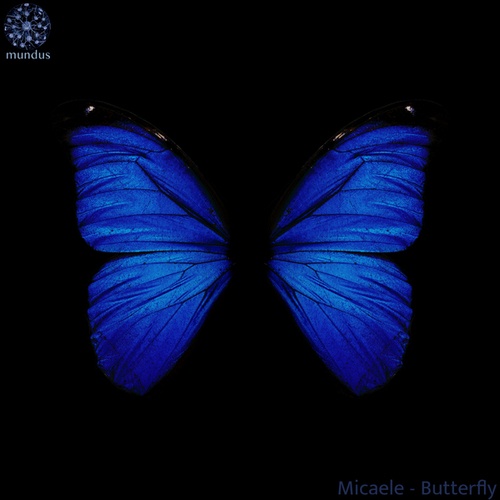 Micaele-Butterfly