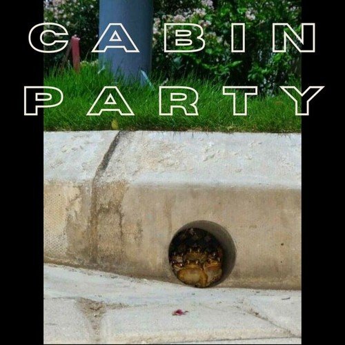 Cabin Party