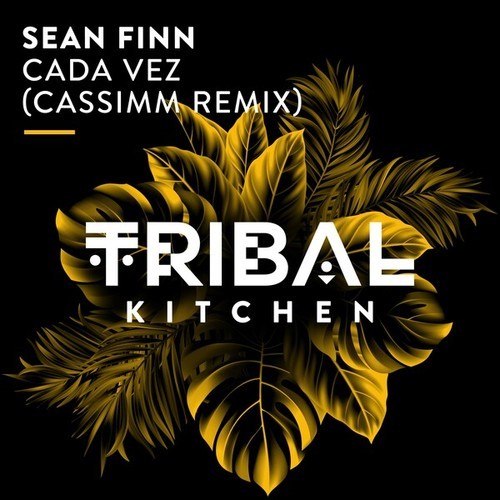 Sean Finn, Cassimm-Cada Vez (CASSIMM Extended Remix)