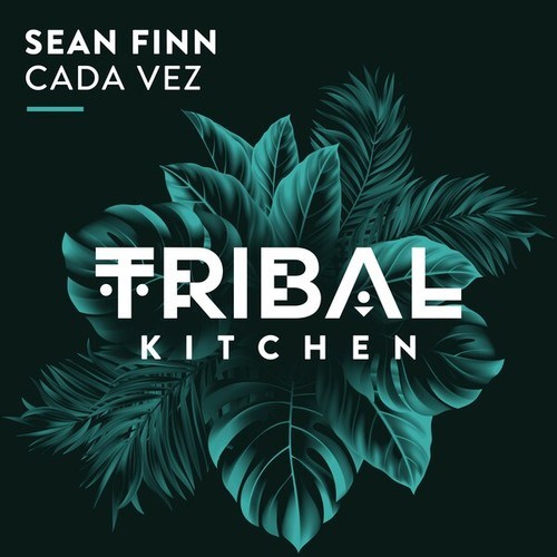 Sean Finn-Cada Vez (Extended Mix)