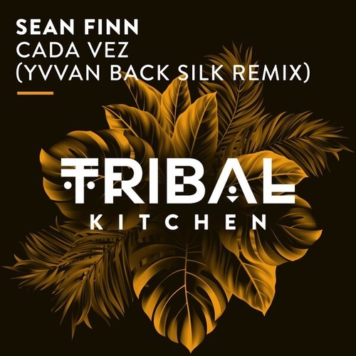 Sean Finn, Yvvan Back-Cada Vez (Yvvan Back Silk Remix)
