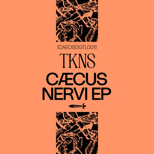 TKNS, Slugos-Caecus Nervi